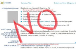 curriculum vitae